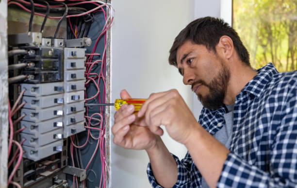 Best Electric Panel Repair  in Mims, FL